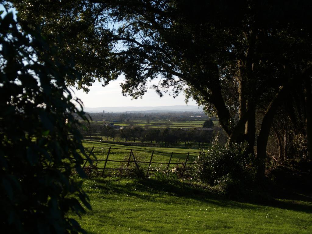 The Mount Somerset Taunton Eksteriør billede