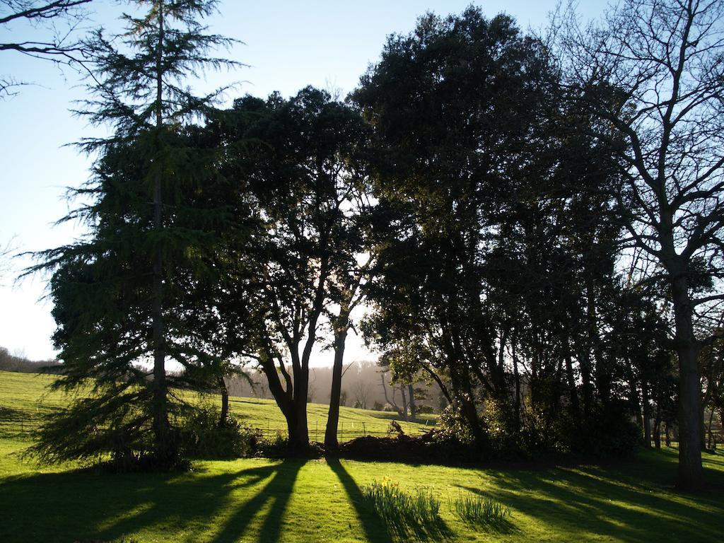 The Mount Somerset Taunton Eksteriør billede
